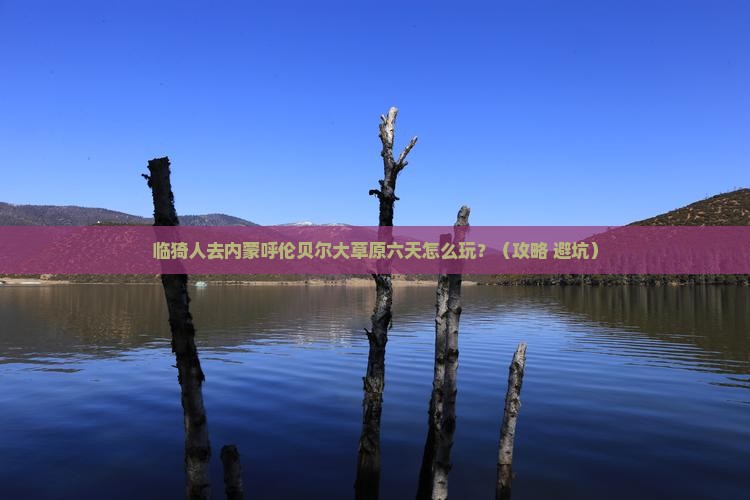 临猗去内蒙呼伦贝尔大草原六日游