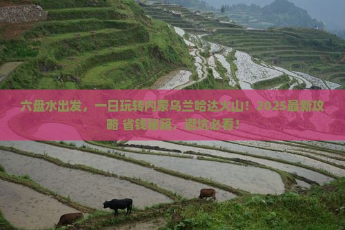 六盘水去内蒙乌兰哈达火山地质公园一日游