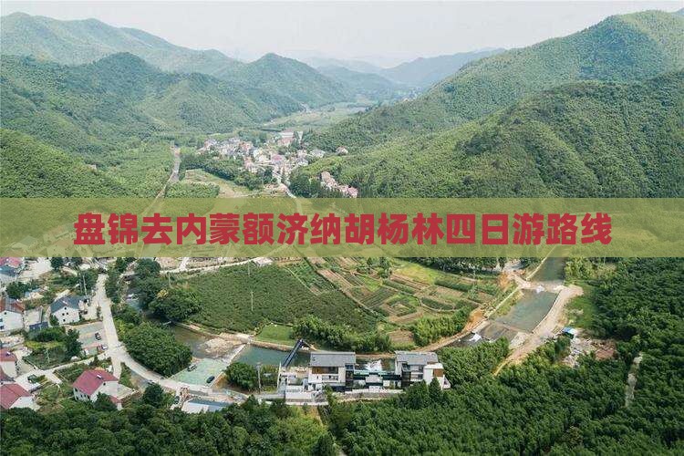 盘锦去内蒙额济纳胡杨林四日游