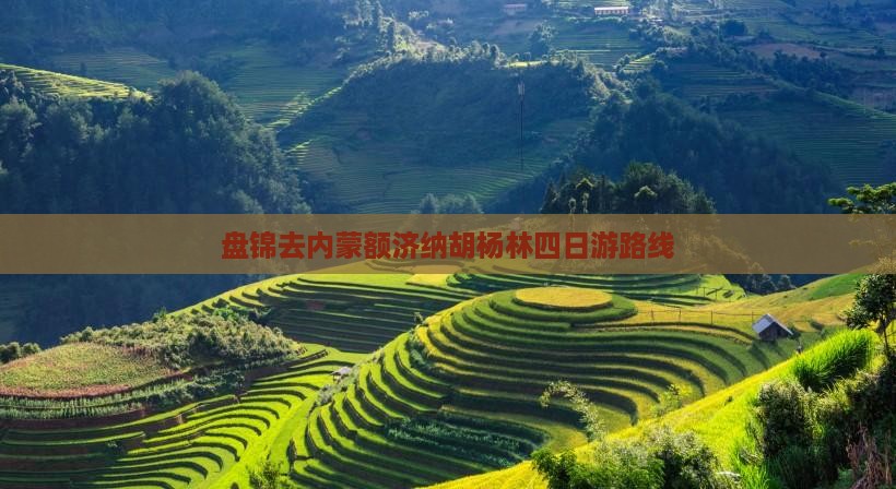盘锦去内蒙额济纳胡杨林四日游