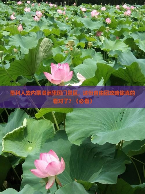 垦利去内蒙满洲里国门景区自由团