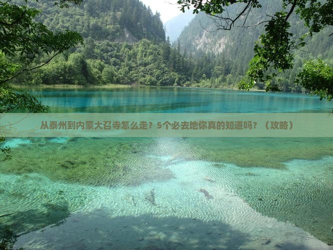 泰州到内蒙大召寺必去地