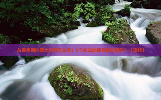 泰州到内蒙大召寺必去地
