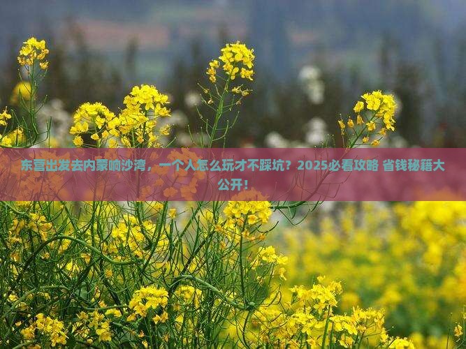 东营到内蒙响沙湾个人游