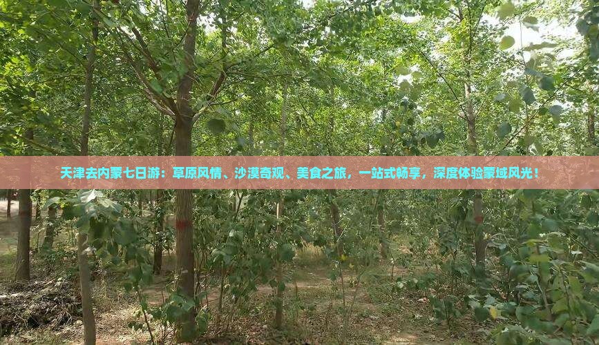 天津去内蒙七日游