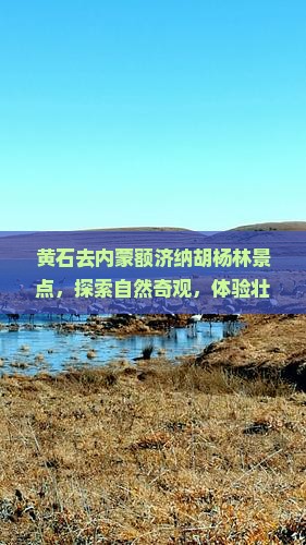 黄石去内蒙额济纳胡杨林景点