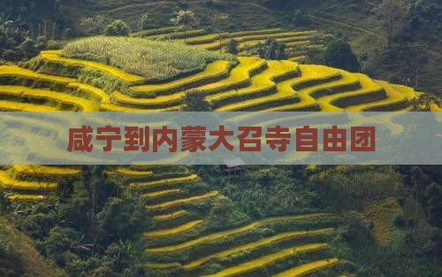咸宁到内蒙大召寺自由团