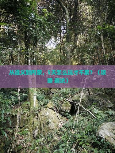 遵义到内蒙景点