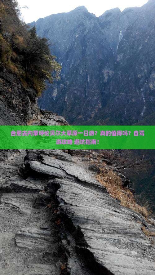 合肥去内蒙呼伦贝尔大草原一日游