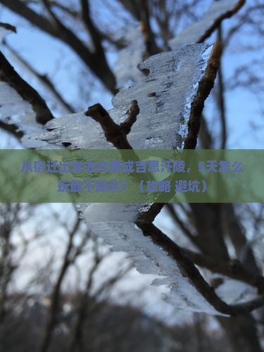宿迁去内蒙成吉思汗陵哪里玩
