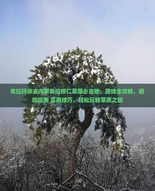 克拉玛依去内蒙希拉穆仁草原必去地