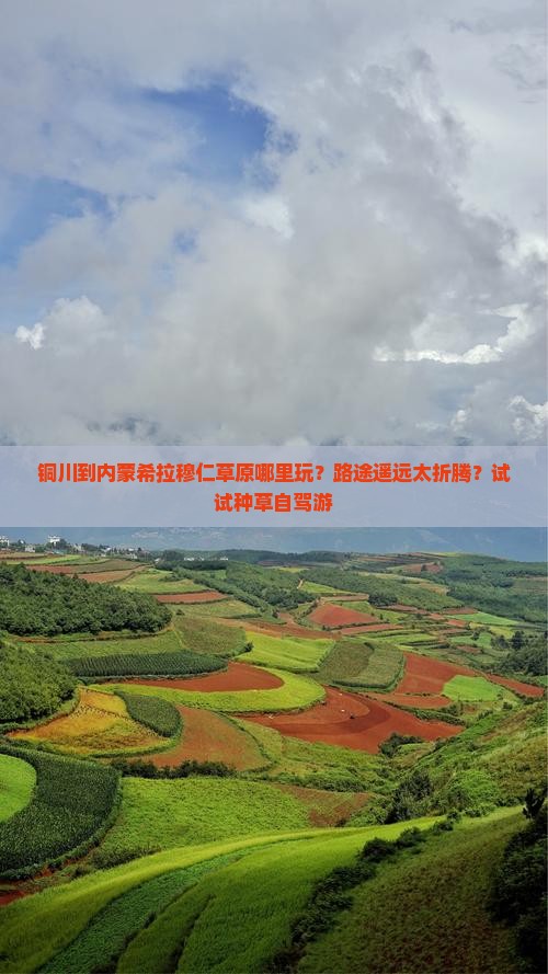 铜川到内蒙希拉穆仁草原哪里玩？路途遥远太折腾？试试种草自驾游