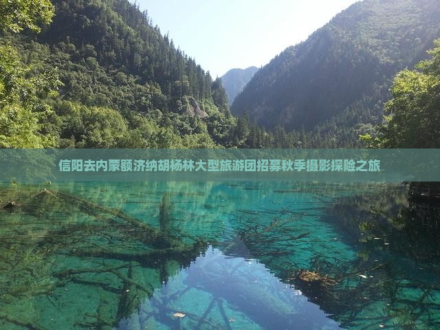 信阳去内蒙额济纳胡杨林大型旅游团招募秋季摄影探险之旅