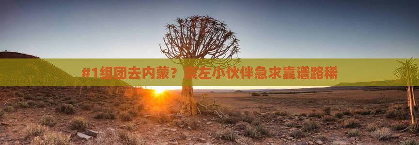#1组团去内蒙？崇左小伙伴急求靠谱路稀