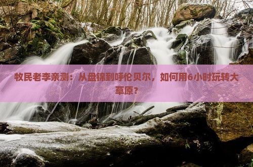 牧民老李亲测：从盘锦到呼伦贝尔，如何用6小时玩转大草原？