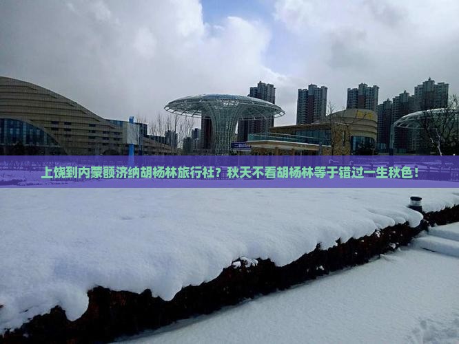 上饶到内蒙额济纳胡杨林旅行社？秋天不看胡杨林等于错过一生秋色！