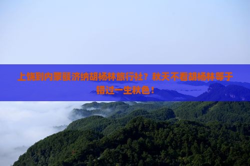 上饶到内蒙额济纳胡杨林旅行社？秋天不看胡杨林等于错过一生秋色！