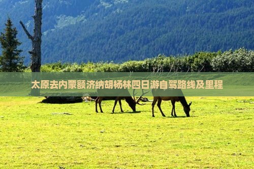 太原去内蒙额济纳胡杨林四日游自驾路线及里程