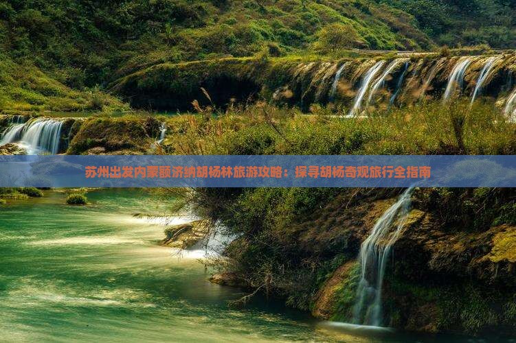 苏州出发内蒙额济纳胡杨林旅游攻略：探寻胡杨奇观旅行全指南