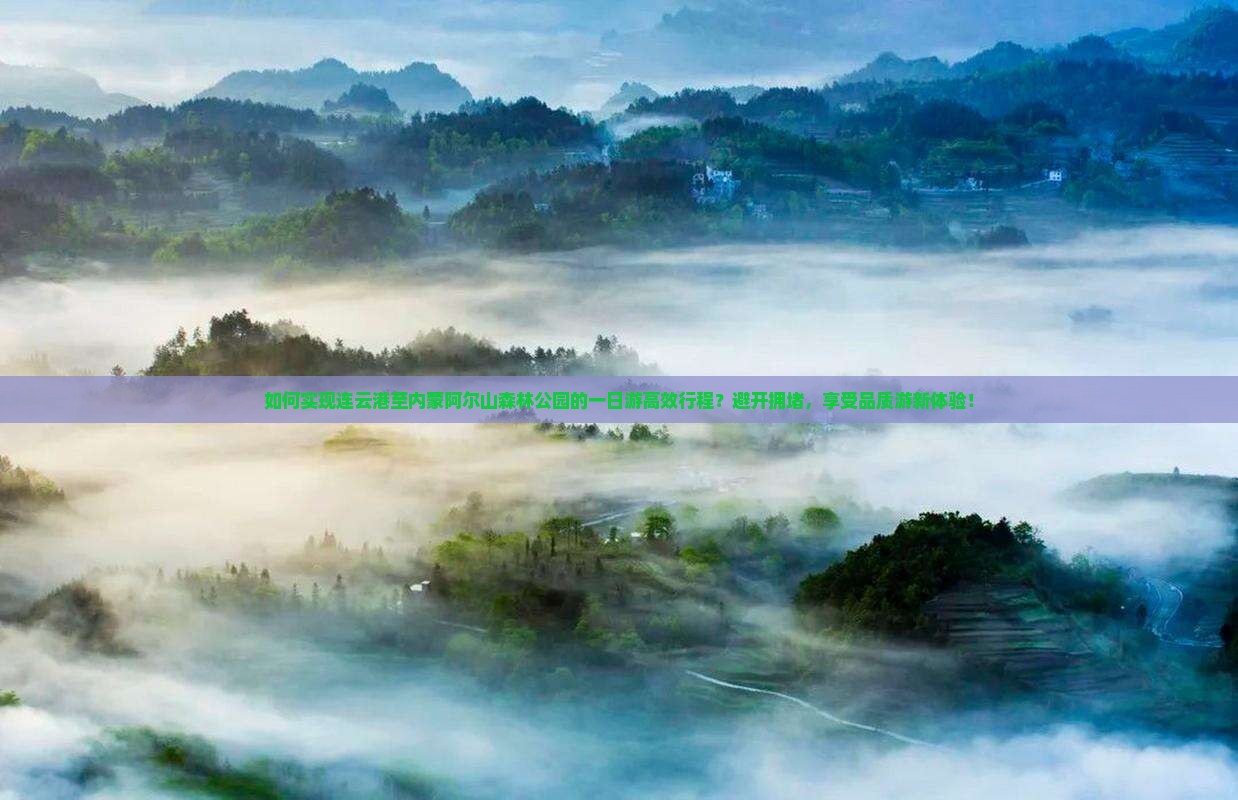 如何实现连云港至内蒙阿尔山森林公园的一日游高效行程？避开拥堵，享受品质游新体验！