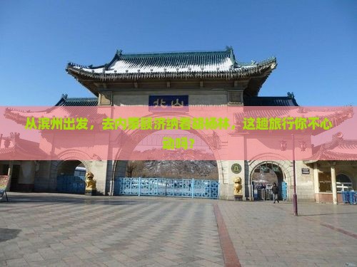 从滨州出发，去内蒙额济纳看胡杨林，这趟旅行你不心动吗？