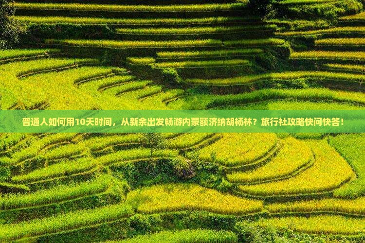 普通人如何用10天时间，从新余出发畅游内蒙额济纳胡杨林？旅行社攻略快问快答！