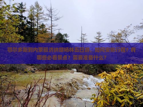 鄂尔多斯到内蒙额济纳胡杨林五日游，如何安排行程？有哪些必看景点？需要准备什么？