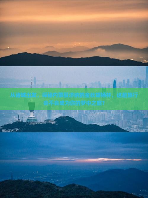从诸城出发，探秘内蒙额济纳的金秋胡杨林，这趟旅行会不会成为你的梦中之旅？