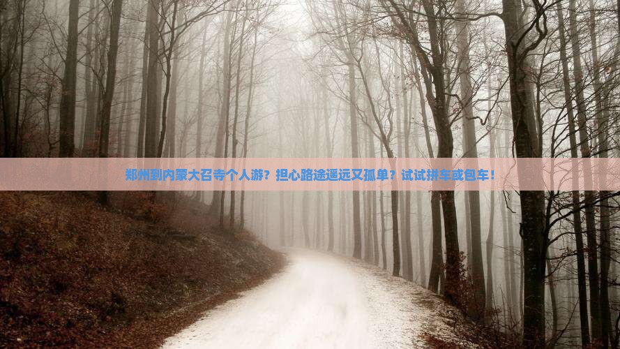 郑州到内蒙大召寺个人游？担心路途遥远又孤单？试试拼车或包车！
