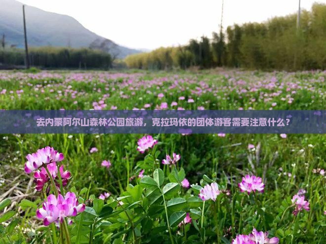 去内蒙阿尔山森林公园旅游，克拉玛依的团体游客需要注意什么？