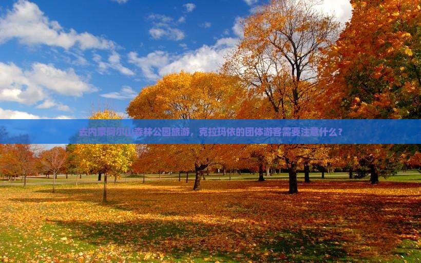 去内蒙阿尔山森林公园旅游，克拉玛依的团体游客需要注意什么？