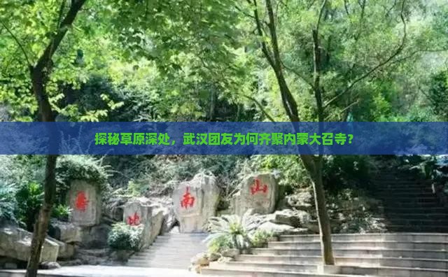 探秘草原深处，武汉团友为何齐聚内蒙大召寺？