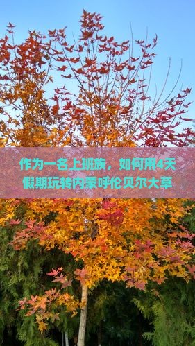 作为一名上班族，如何用4天假期玩转内蒙呼伦贝尔大草原？