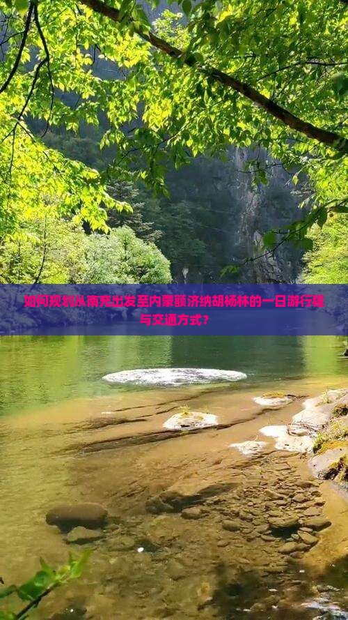 如何规划从南充出发至内蒙额济纳胡杨林的一日游行程与交通方式？