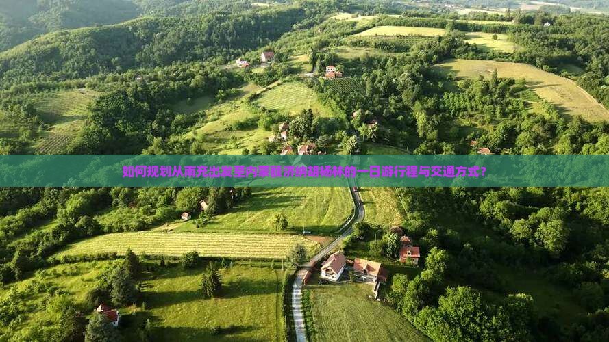 如何规划从南充出发至内蒙额济纳胡杨林的一日游行程与交通方式？