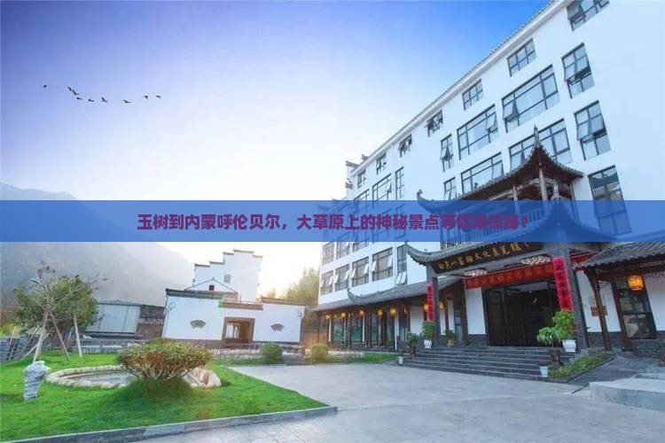 玉树到内蒙呼伦贝尔，大草原上的神秘景点等你来探秘？