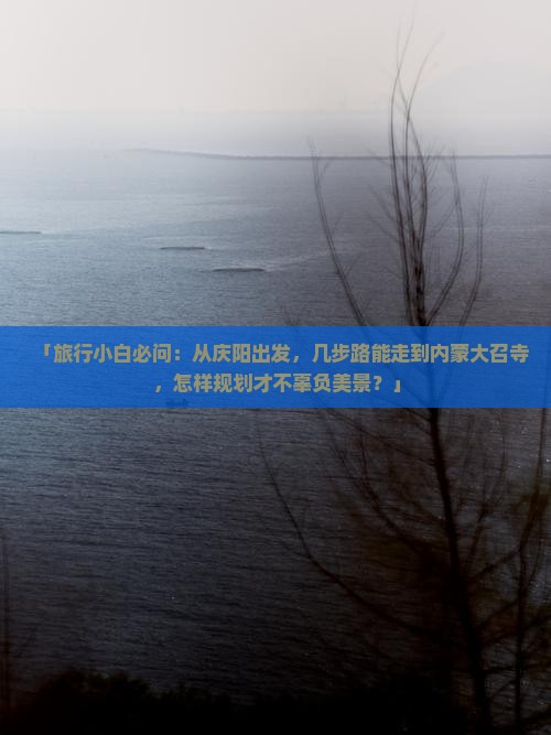 「旅行小白必问：从庆阳出发，几步路能走到内蒙大召寺，怎样规划才不辜负美景？」