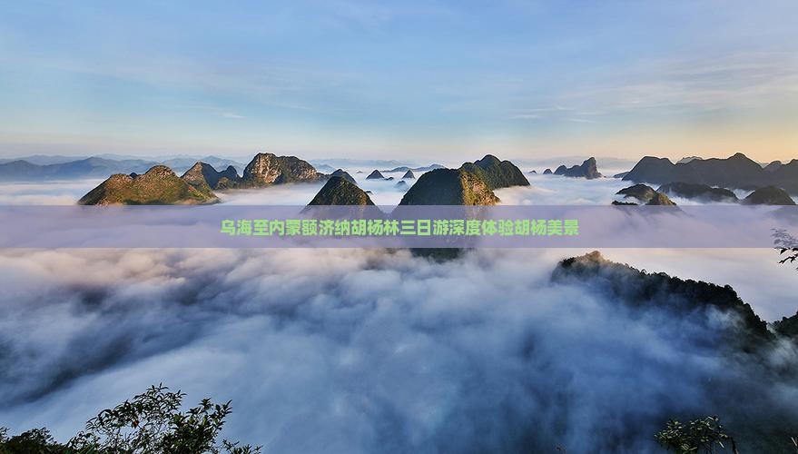 乌海至内蒙额济纳胡杨林三日游深度体验胡杨美景