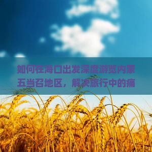 如何在海口出发深度游览内蒙五当召地区，解决旅行中的痛点和热门问题？