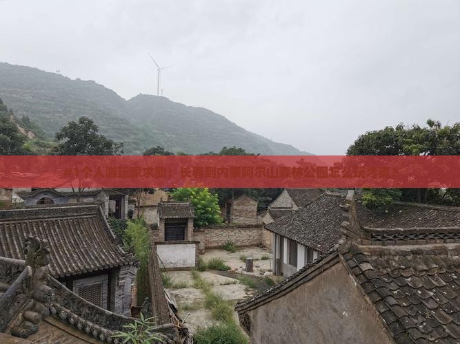 #1个人游玩家求助：长春到内蒙阿尔山森林公园怎么玩才爽？