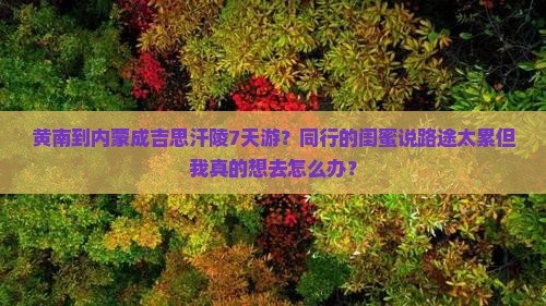 黄南到内蒙成吉思汗陵7天游？同行的闺蜜说路途太累但我真的想去怎么办？
