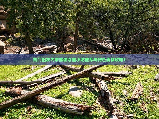 荆门出发内蒙旅游必尝小吃推荐与特色美食攻略？