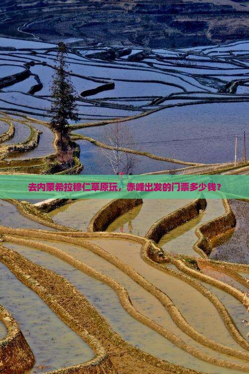 去内蒙希拉穆仁草原玩，赤峰出发的门票多少钱？