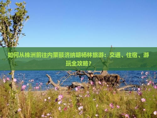 如何从株洲前往内蒙额济纳胡杨林旅游：交通、住宿、游玩全攻略？
