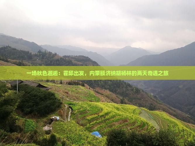 一场秋色邂逅：霍邱出发，内蒙额济纳胡杨林的两天奇遇之旅