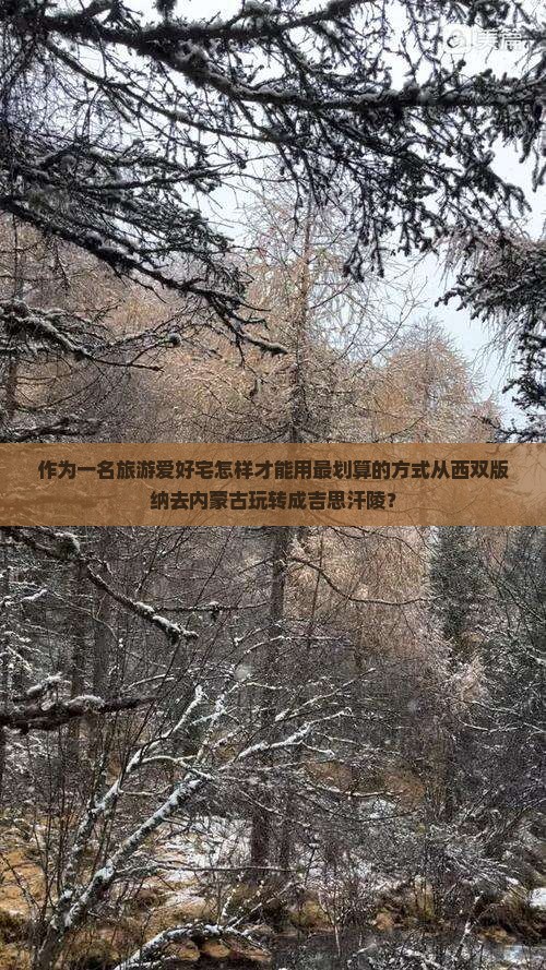 作为一名旅游爱好宅怎样才能用最划算的方式从西双版纳去内蒙古玩转成吉思汗陵？