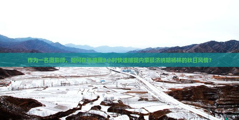 作为一名摄影师，如何在张掖用8小时快速捕捉内蒙额济纳胡杨林的秋日风情？