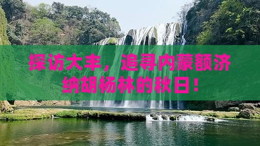 探访大丰，追寻内蒙额济纳胡杨林的秋日！
