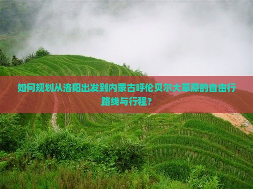 如何规划从洛阳出发到内蒙古呼伦贝尔大草原的自由行路线与行程？