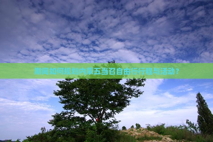 期间如何规划内蒙五当召自由行行程与活动？